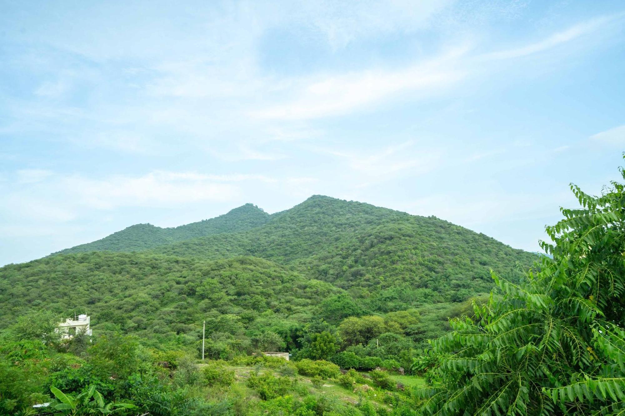 Treebo The Aravali Getaway Hotell Udaipur Exteriör bild
